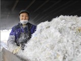 廢舊塑料的處理怎樣才能利潤最大化？